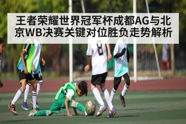 王者荣耀世界冠军杯成都AG与北京WB决赛关键对位胜负走势解析
